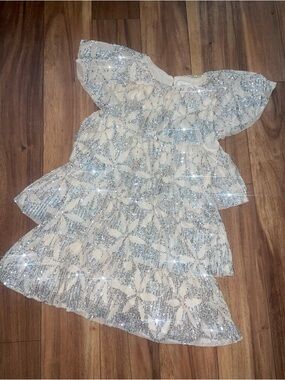 Zara Champagne Sequin Ruffle Dress